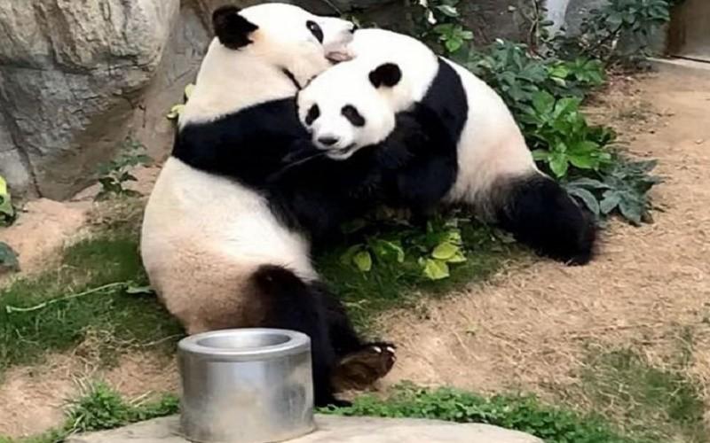 科技引領(lǐng)抗疫新時(shí)代，全球最新疫情概況