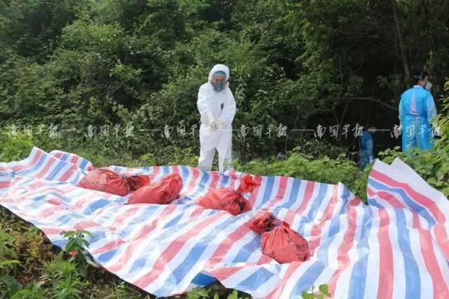 石家莊隔墻板 第469頁