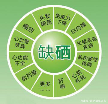 硒鏈最新消息,重磅推出硒鏈，科技新星，引領(lǐng)健康生活新紀(jì)元