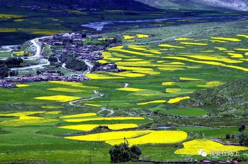 拉薩陳建瑤引領(lǐng)科技潮流，重塑生活體驗(yàn)新篇章