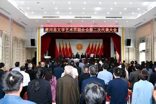 唐河政府領(lǐng)導(dǎo)班子最新概覽與了解學(xué)習(xí)指南（初學(xué)者與進(jìn)階用戶適用）
