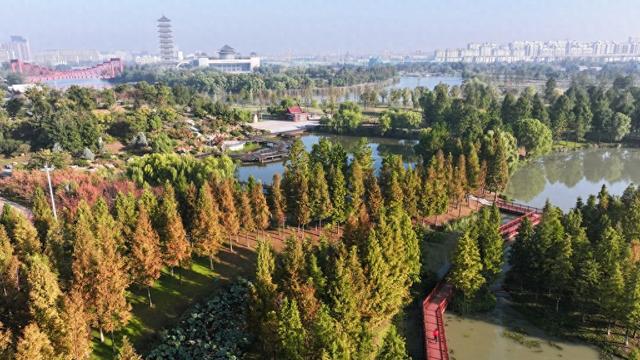 揚(yáng)州三灣濕地公園最新進(jìn)展揭秘，價(jià)值與影響深度透視