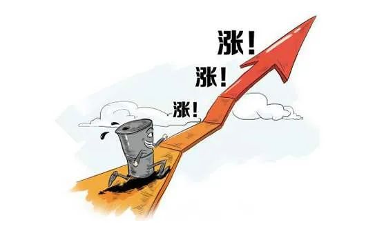 小巷深處的神秘寵物店，最新下司犬出售信息一覽