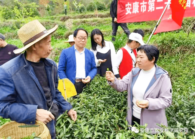 ??紅英科技農(nóng)業(yè)最新動(dòng)態(tài)??