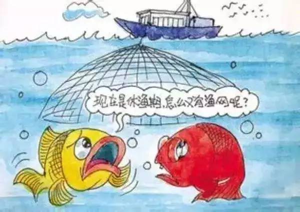 2017年休漁期最新政策,操作實踐評估_創(chuàng)意版23.514