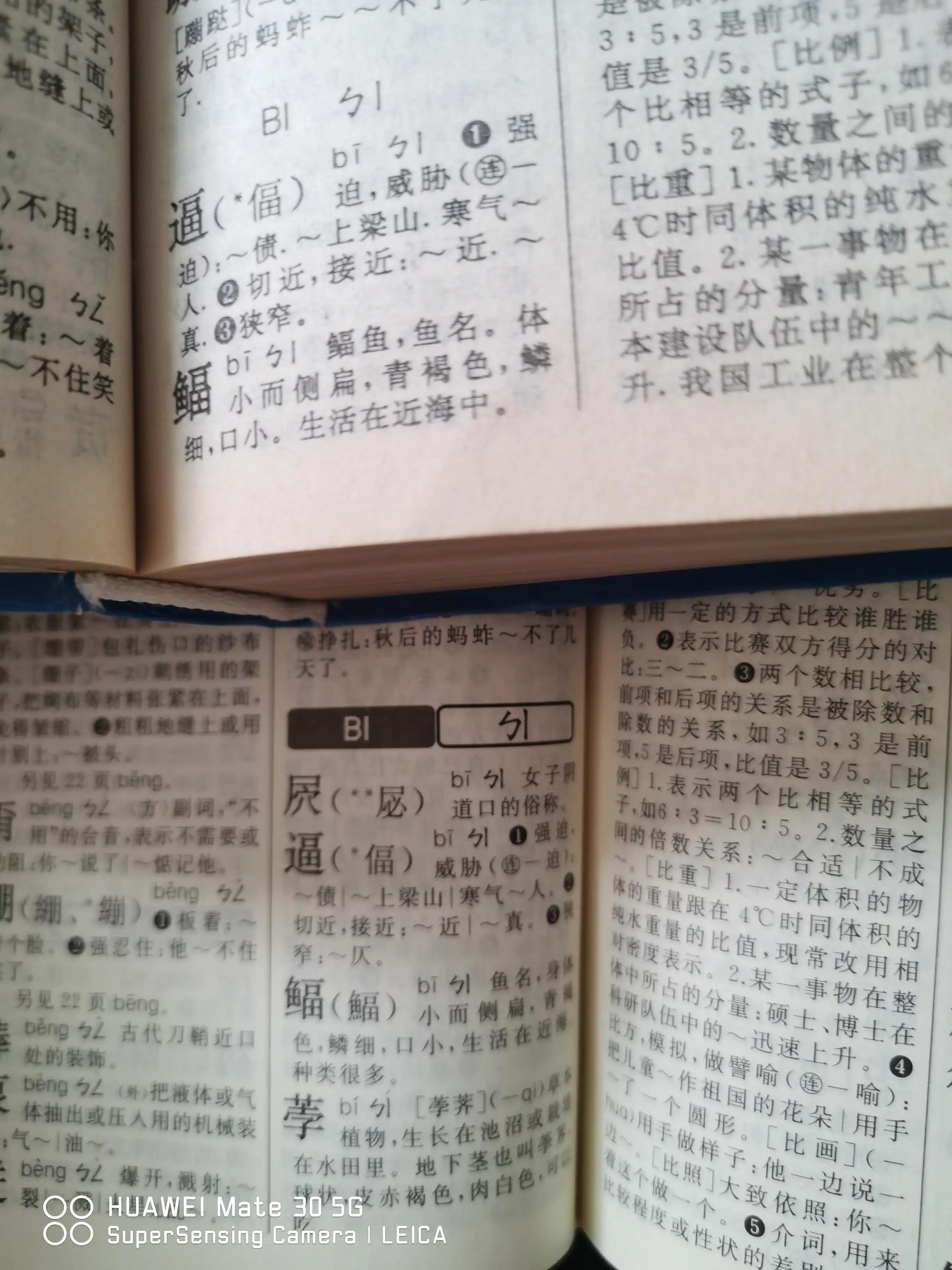 小學生新華字典最新版,操作實踐評估_外觀版23.343