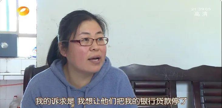 鄭上網(wǎng)最新消息,鄭上網(wǎng)最新消息，一網(wǎng)情深，溫馨日常的小趣事