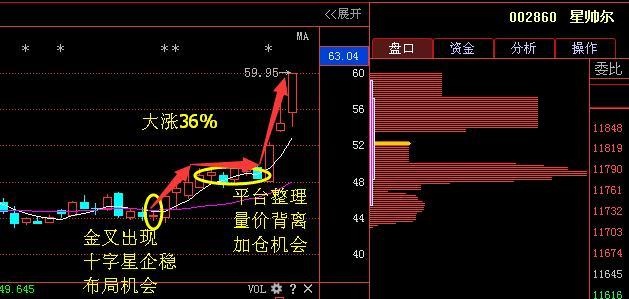 星帥爾最新動態(tài)，星空露營夜歡樂啟幕