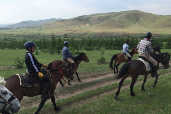 澳門今晚開特馬四不像圖,最新數(shù)據(jù)挖解釋明_動(dòng)態(tài)版62.647