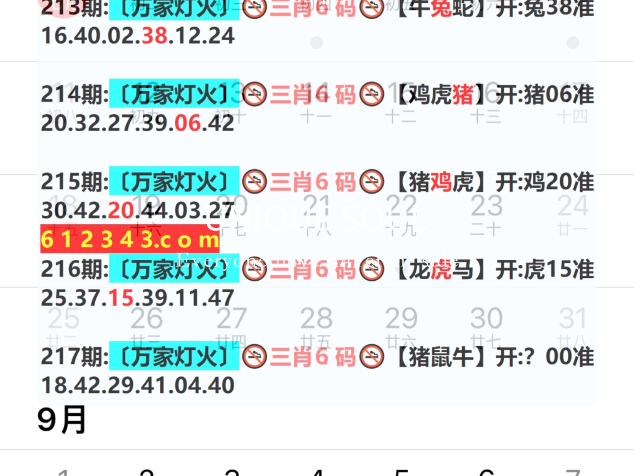 2025新澳一碼一特944,目前現(xiàn)象解析描述_先鋒實(shí)踐版38.535