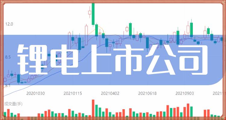 鋰電池行業(yè)領(lǐng)軍企業(yè)及上市公司探析
