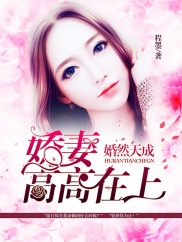 嬌妻高高在上最新章節(jié),嬌妻高高在上最新章節(jié)，一種文化現(xiàn)象的深度解析