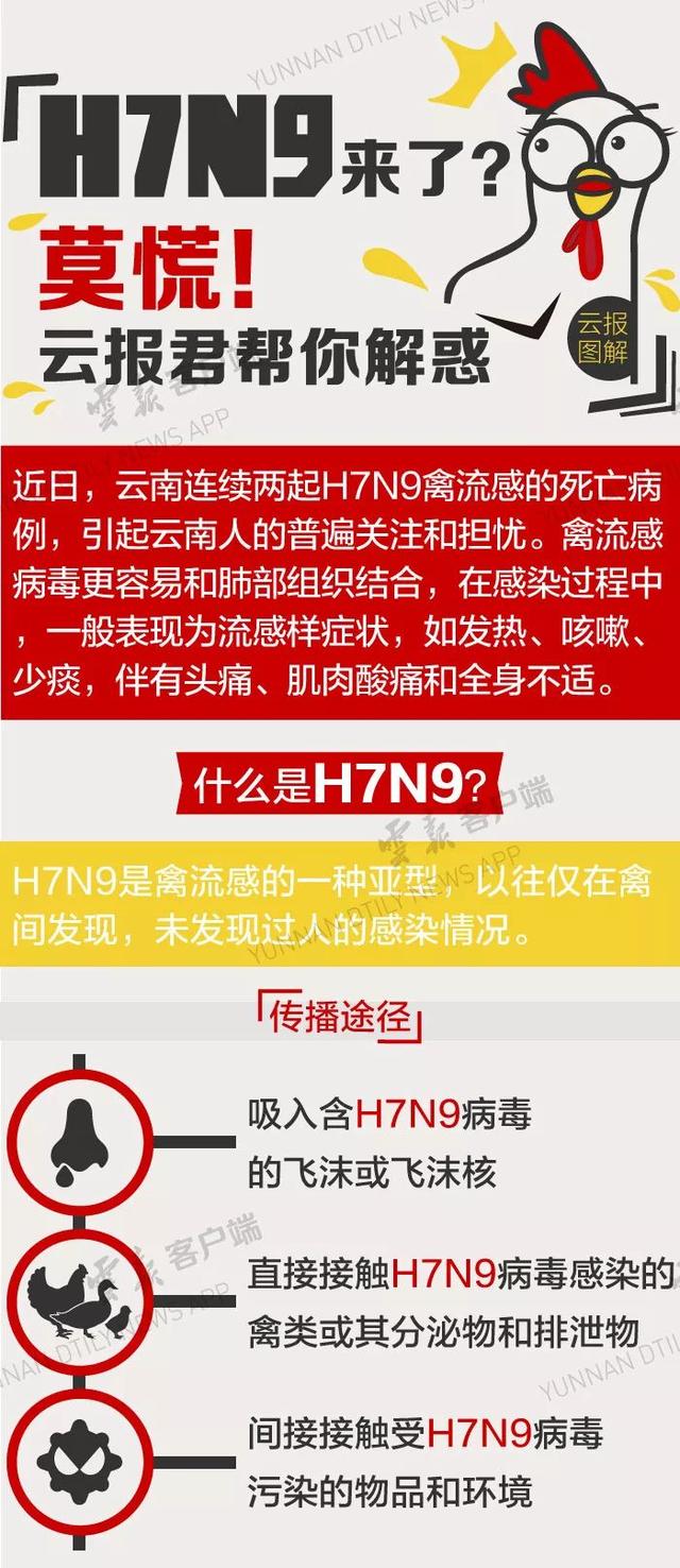 云南H7N9最新消息及論述