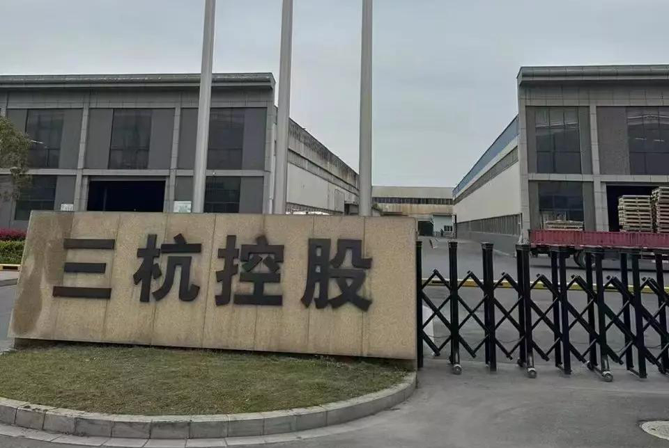 杭州三三集團最新動態(tài)，心靈與自然的美妙之旅啟幕！
