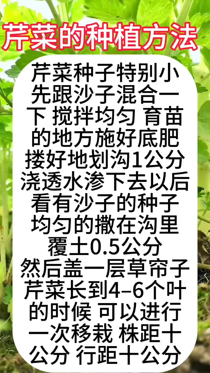 最新種菜技術(shù)引領(lǐng)綠色生活新篇章