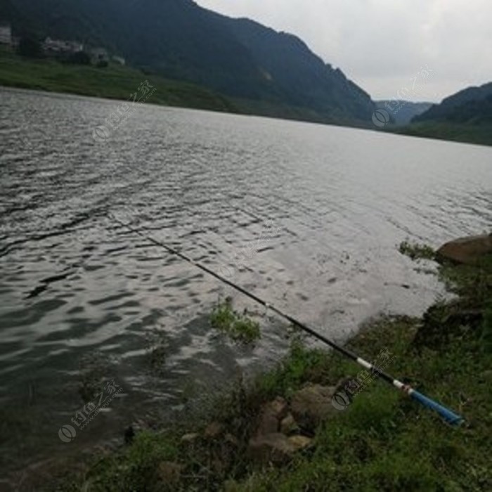 宜昌最新釣場，垂釣之樂與友情的完美交融
