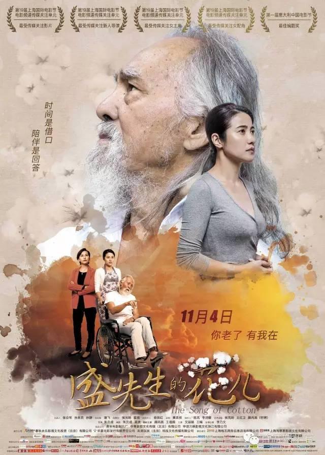 顏丙燕演藝之路的輝煌與影響，最新訪談揭秘影響力與成長(zhǎng)歷程
